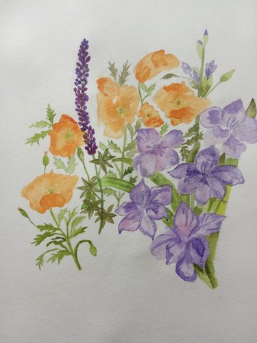 Watercolour, flowers from the garden.